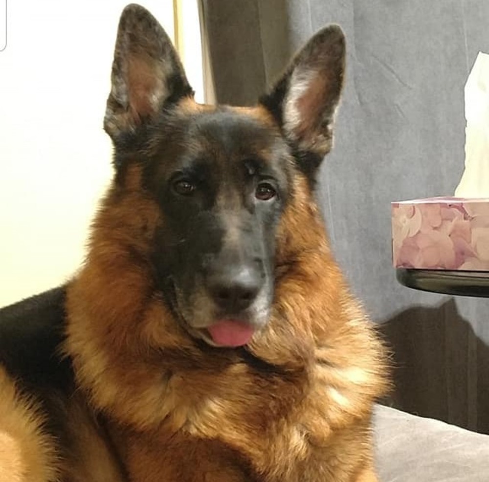 Meet your Posher, Peter